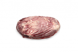 VITELLONE Z (8/12 MESI) FESA FR