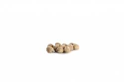 POLLO POLPETTE | 1CT X 2,5kg | FILENI