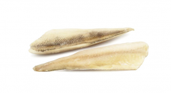 PESCE PERSICO FILETTO CON PELLE 20/40 IQF