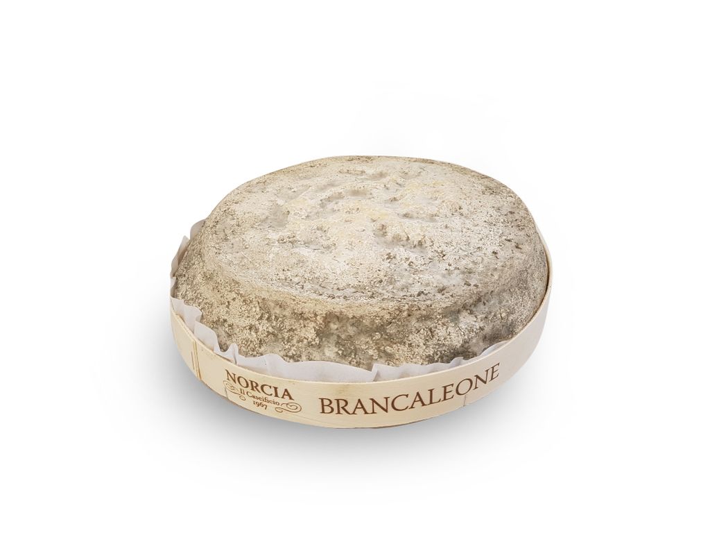 FORMAGGIO BRANCALEONE FORMA 2,5kg LC