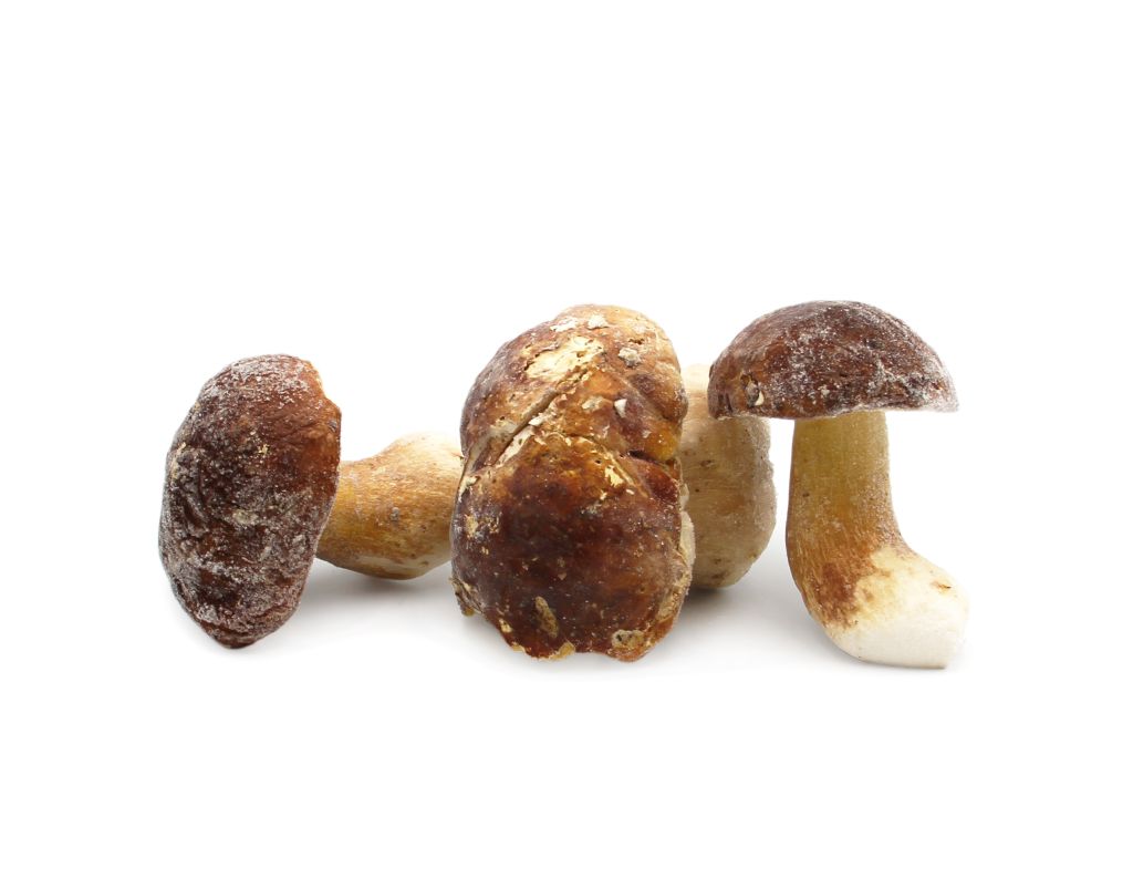 FUNGHI PORCINI INTERI SECONDA TRM 5kg GREENS FOOD