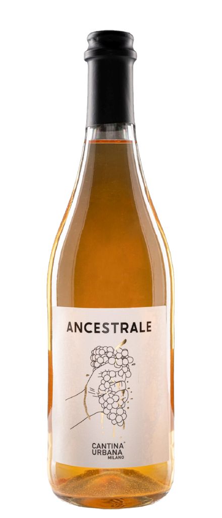 L'ANCESTRALE MALVASIA RIFERMENTATA IN BOTTIGLIA | PRENOTAZIONE NON RENDIBILE