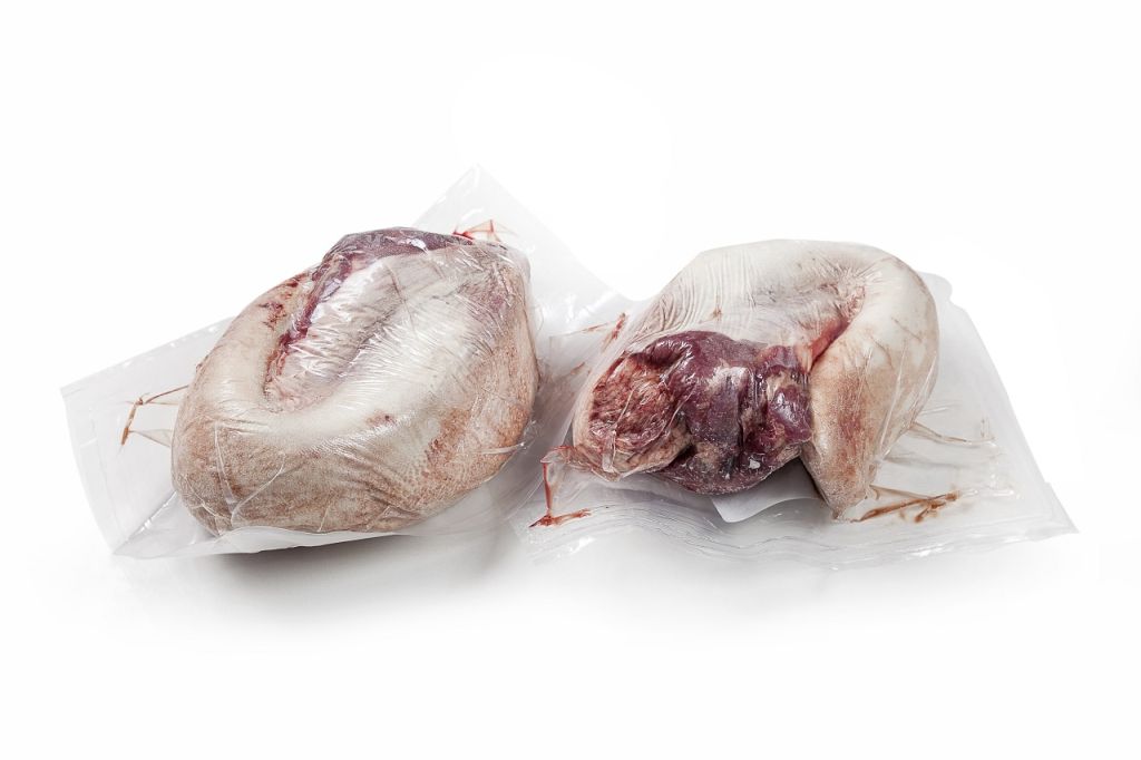 BOVINO ADULTO LINGUA CO