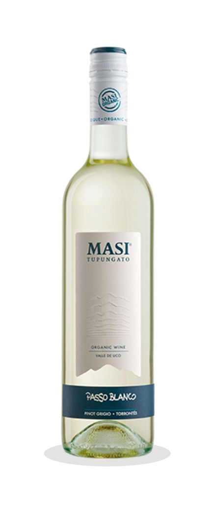 PASSO BLANCO BIANCO D'ARGENTINA  | 6BT X 750ml 2024 MASI 12,5°  PRENOTAZIONE NON RENDIBILE
