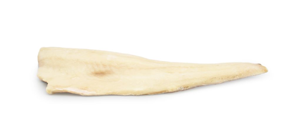 LUCCIOPERCA FILETTO 500/800g C/P