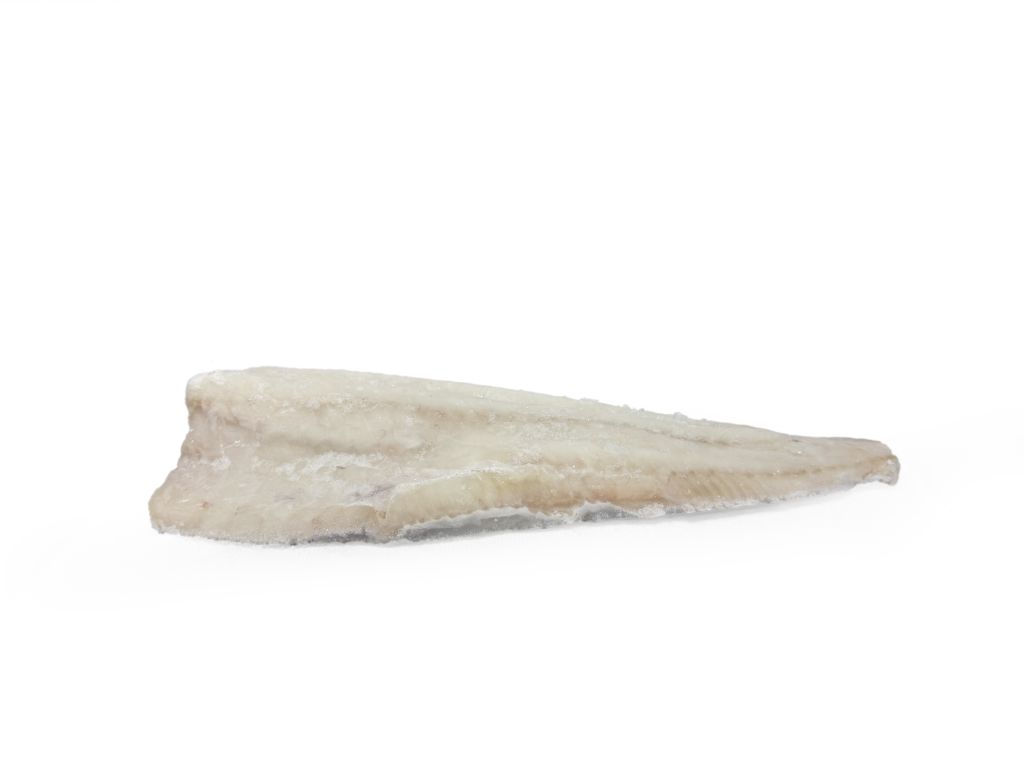 MERLUZZO FILETTO C/P 1000 + CINA