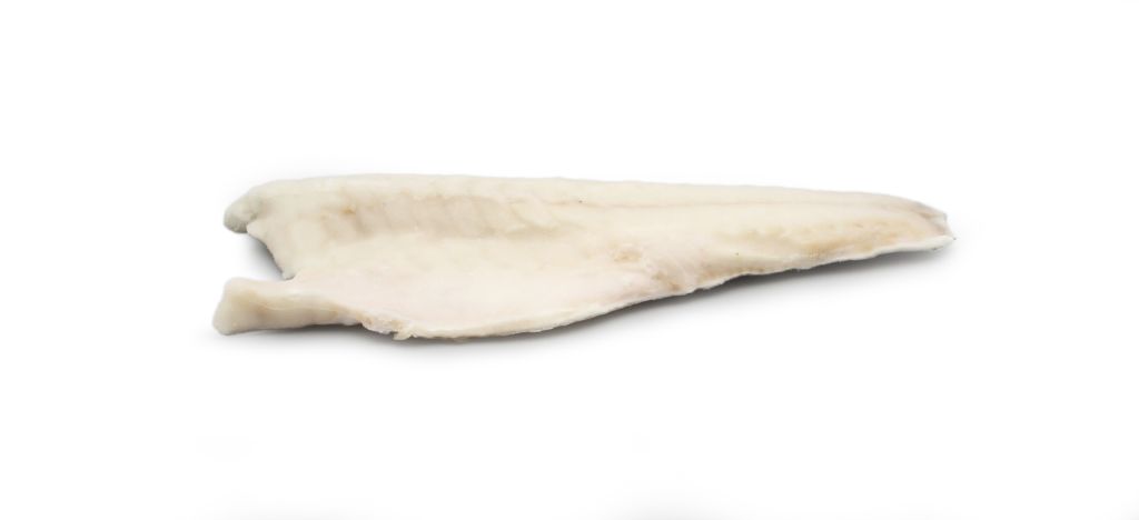 BRANZINO FILETTO 160/220g C/P RC IQF