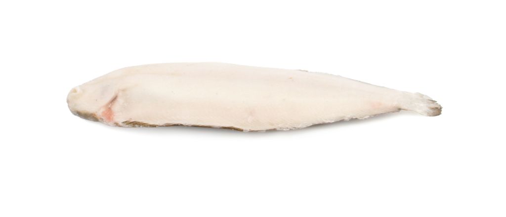 SOGLIOLA INTERA 250/300 IQF