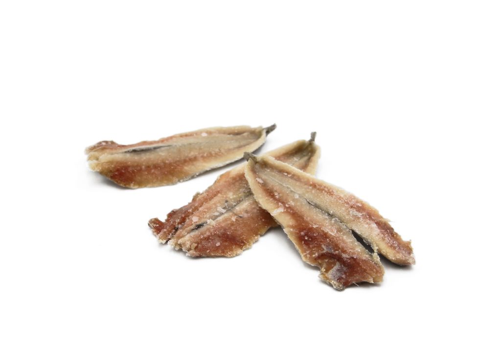 ALICE DEL MEDITERRANEO FILETTO 3kg