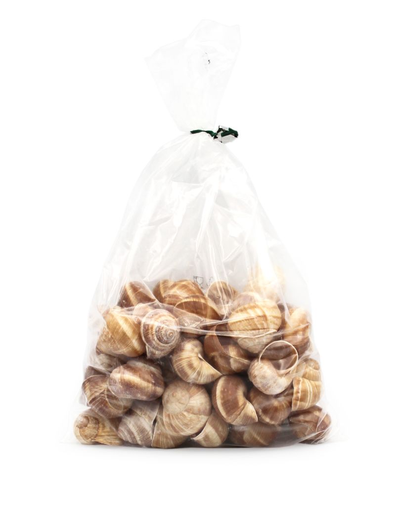 LUMACHE GUSCIO 200pz