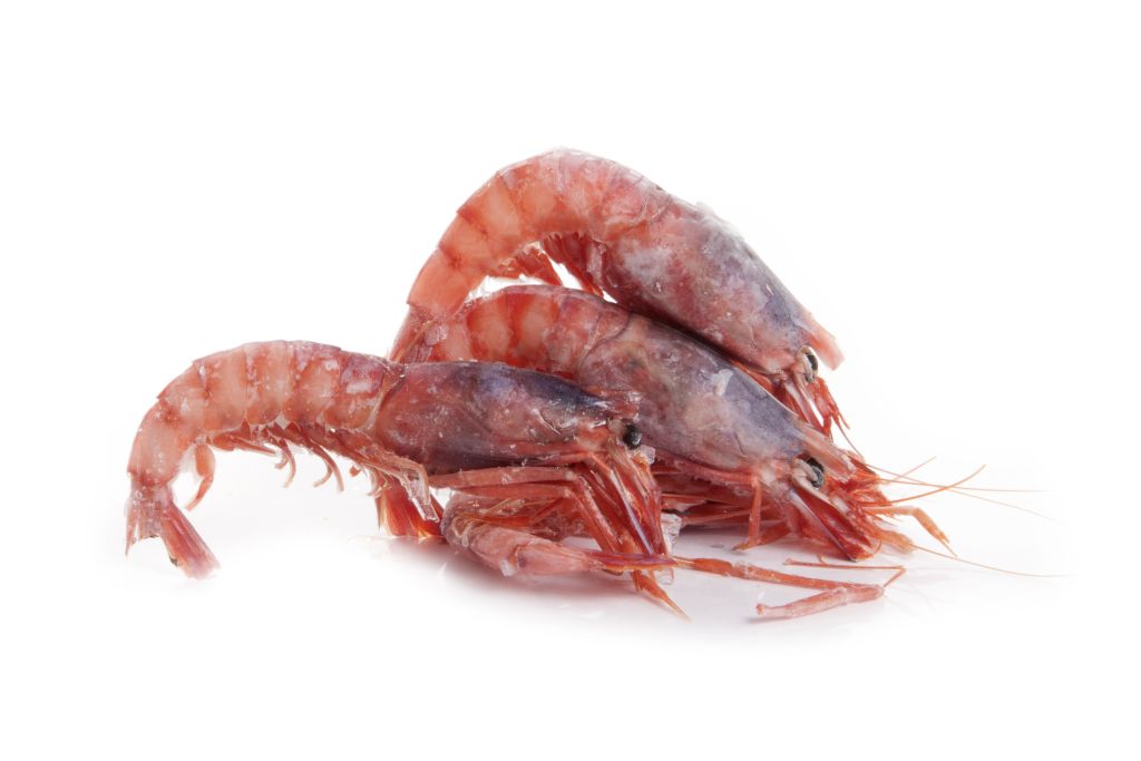 GAMBERO VIOLA 3 MEDIPESCA CO