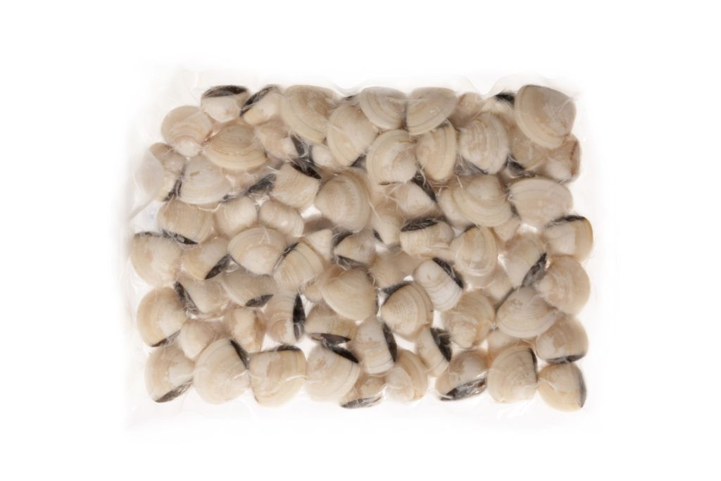 VONGOLA DEL PACIFICO BIANCA 60/80 PRECOTTA