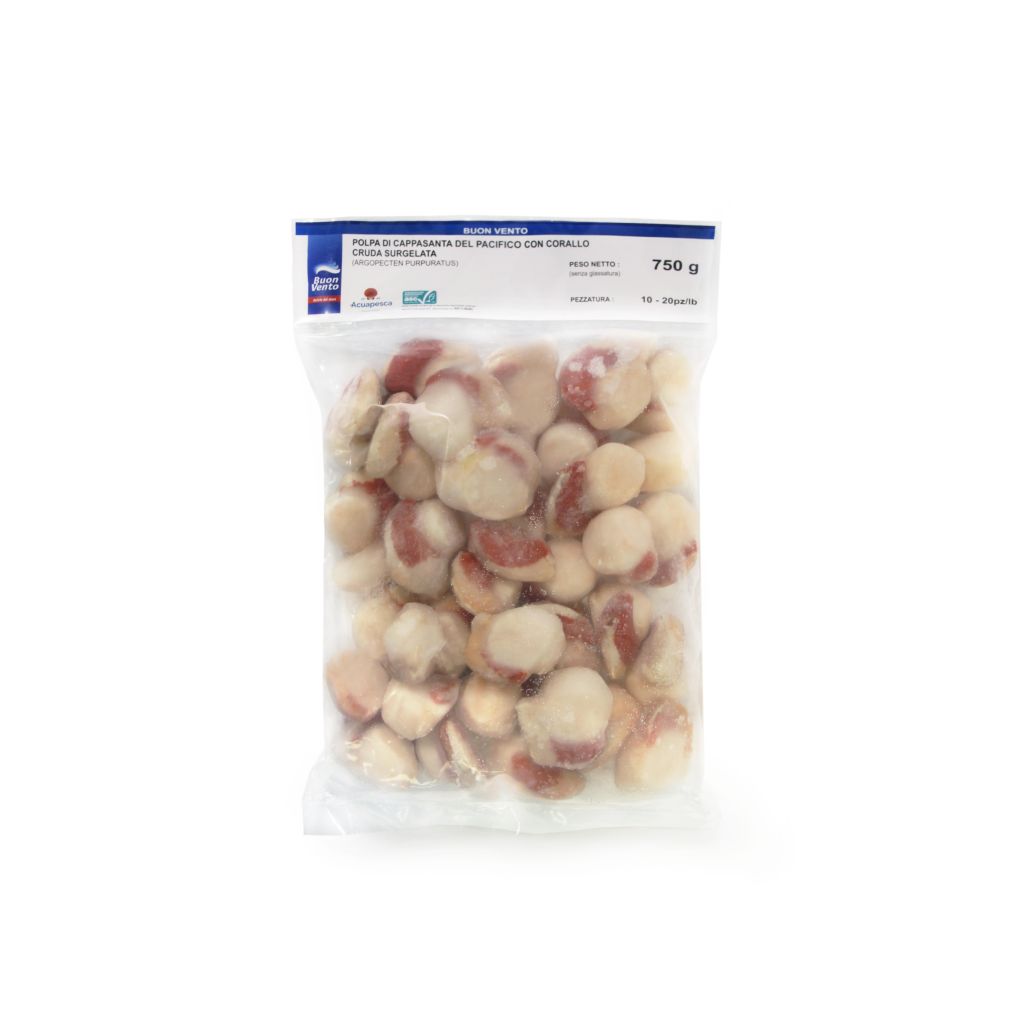 CAPPASANTA DEL PACIFICO POLPA 10/20 C/CORALLO 750g