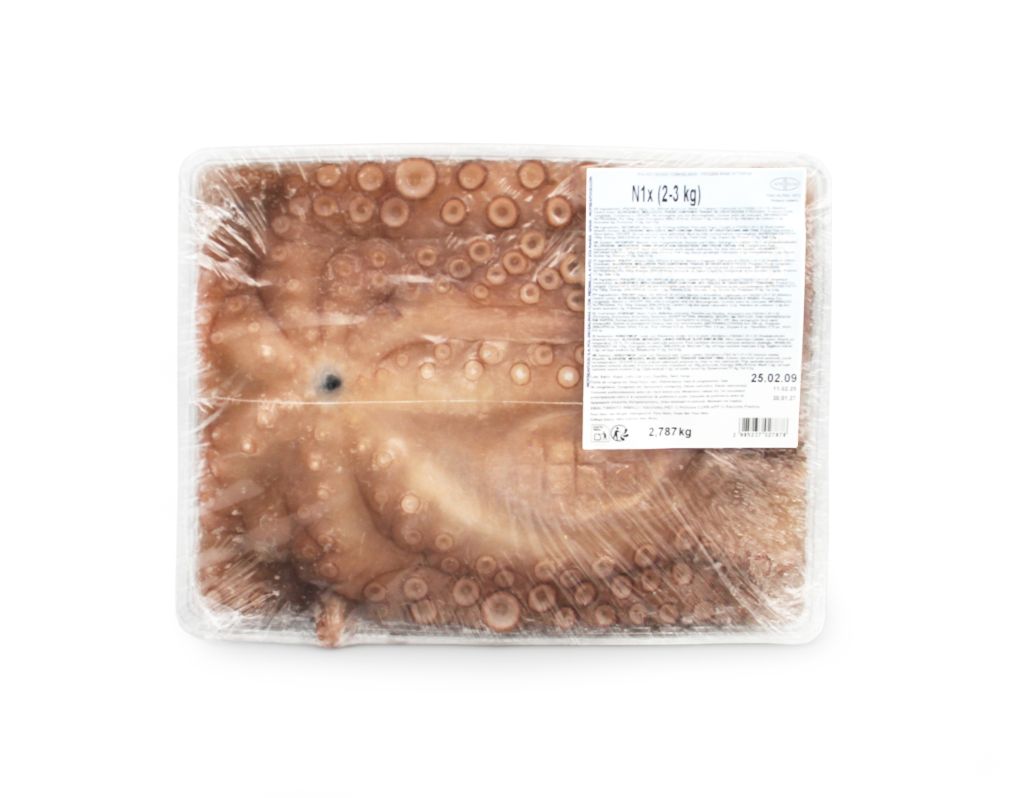 POLPO MOY VASCHETTA 2/3kg