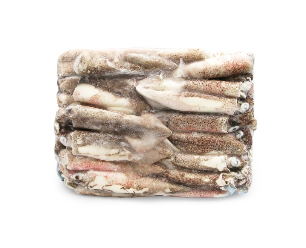 CALAMARO PATAGONICO INTERO 4LL 12/16 5kg WOFCO