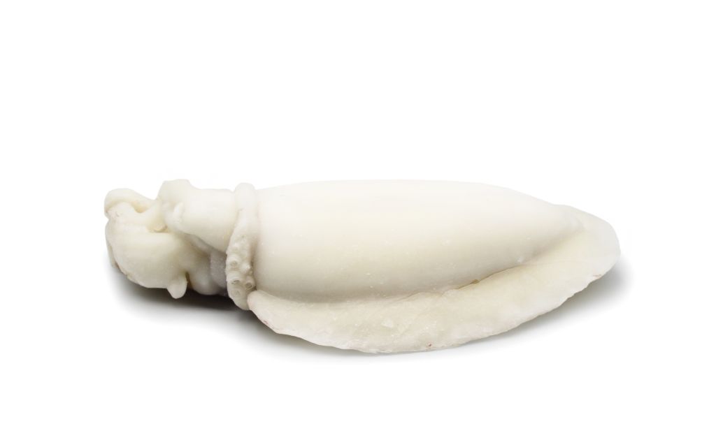 SEPPIA OCEANICA PULITA U/2 IQF INDIA