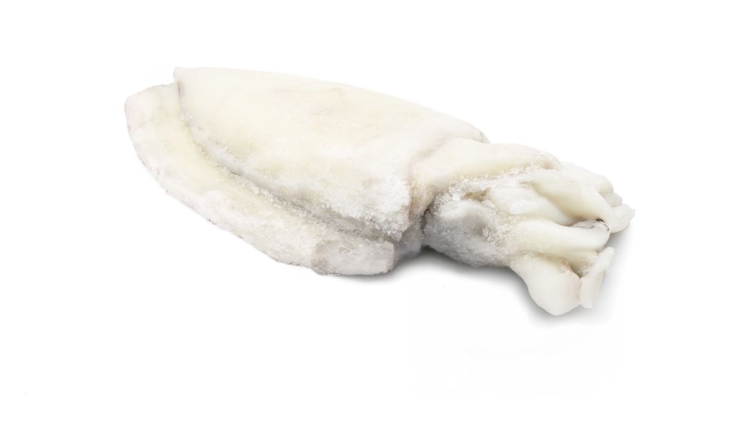 SEPPIA PULITA 200/300 IQF