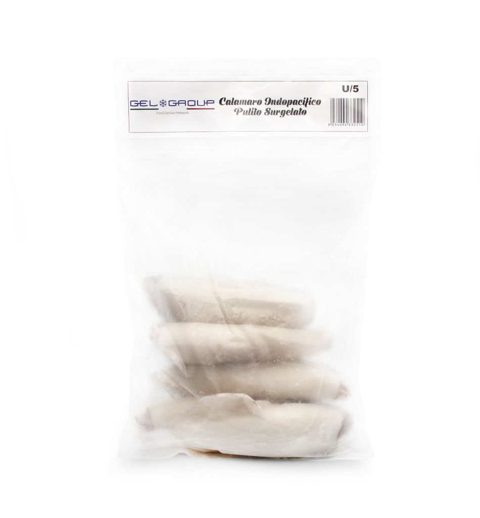 CALAMARO INDOPACIFICO PULITO U/5 INDIA