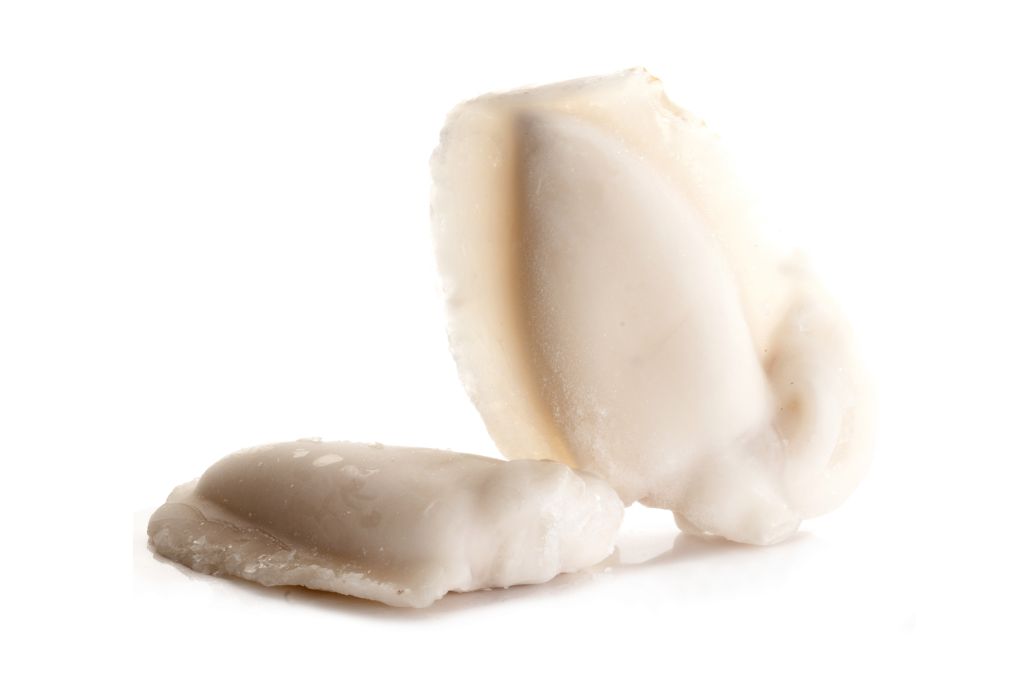 SEPPIA INDOPACIFICA PULITA 20/40 IQF