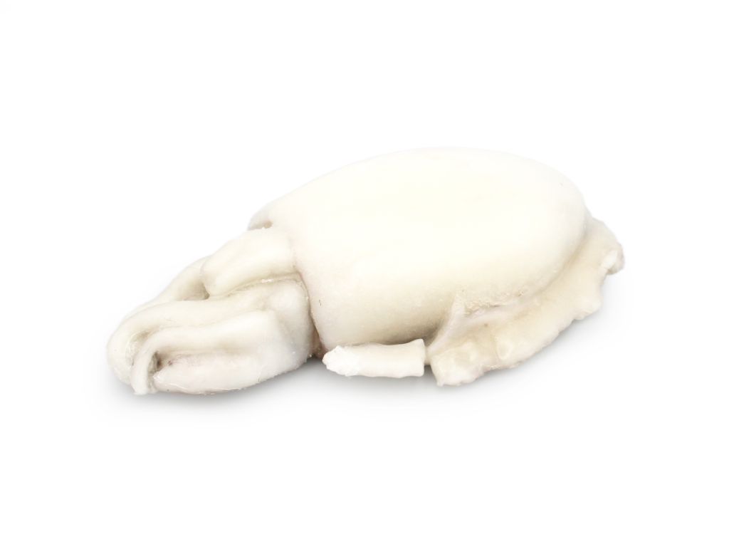 SEPPIA PULITA 1000/2000 IQF MAROCCO