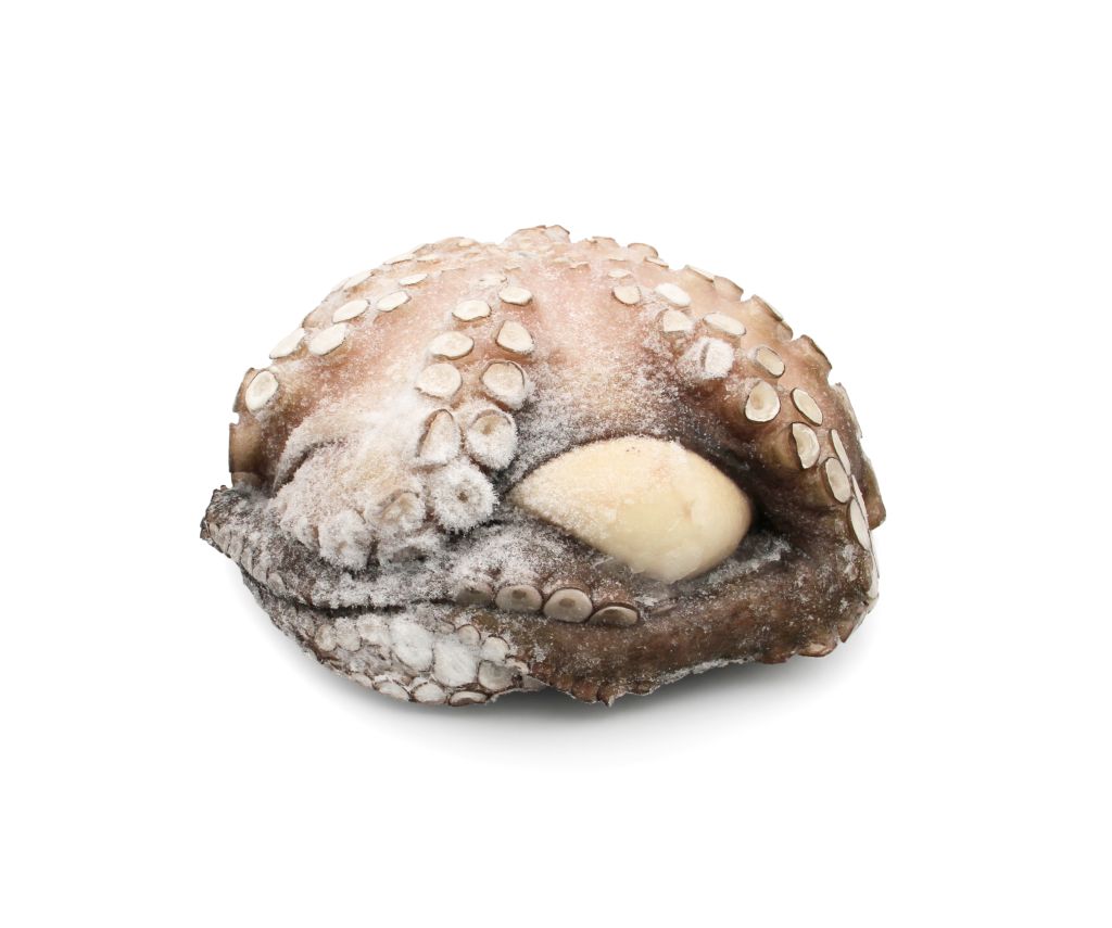 POLPO T2 IQF SENEGAL 12kg