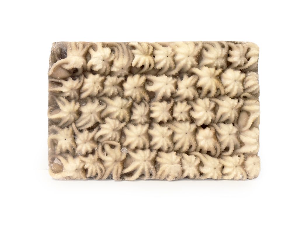 POLPO INDOPACIFICO (POLIPETTO) 60/UP BLOCCO