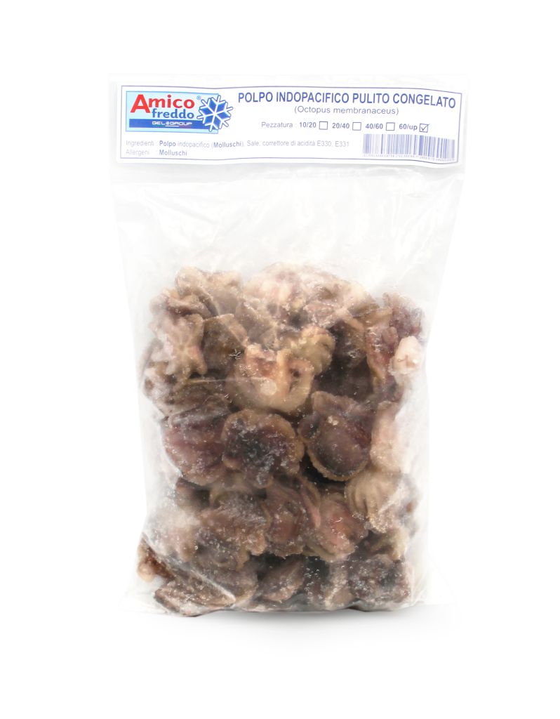 POLPO INDOPACIFICO (POLIPETTO) 60/UP IQF