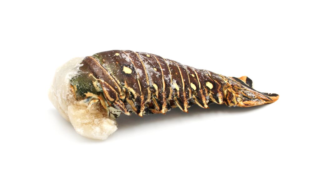 ARAGOSTA TROPICALE CODA 567g+