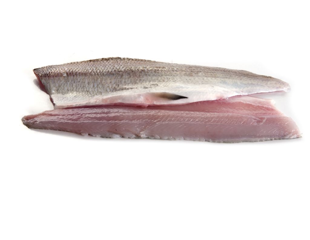 COREGONE LAVARELLO FILETTO CON PELLE SQUAMATO FR