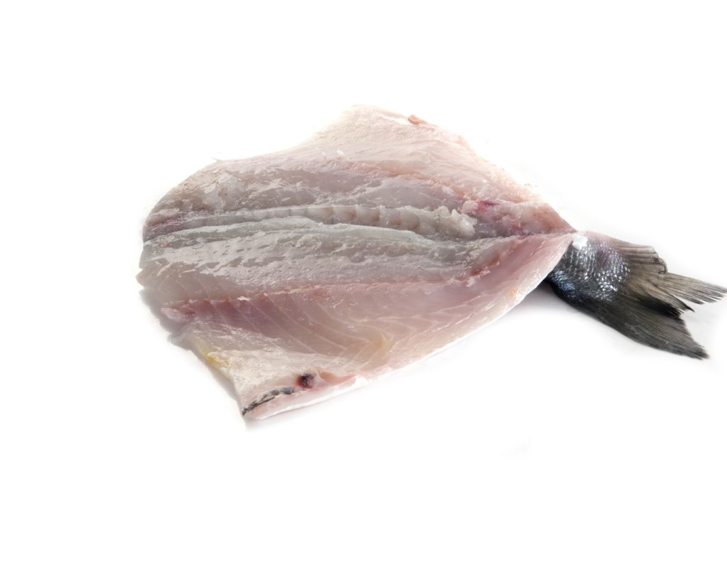 ORATA 300/380 SPACCATA SENZA TESTA FR